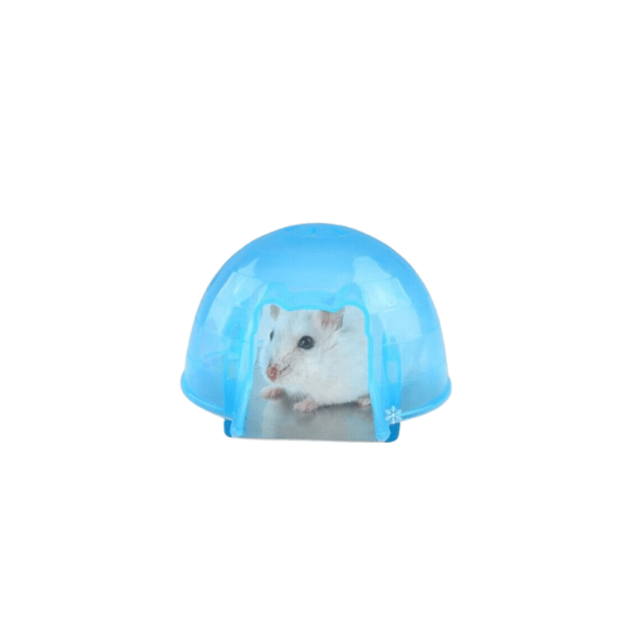IGLU HAMSTER1