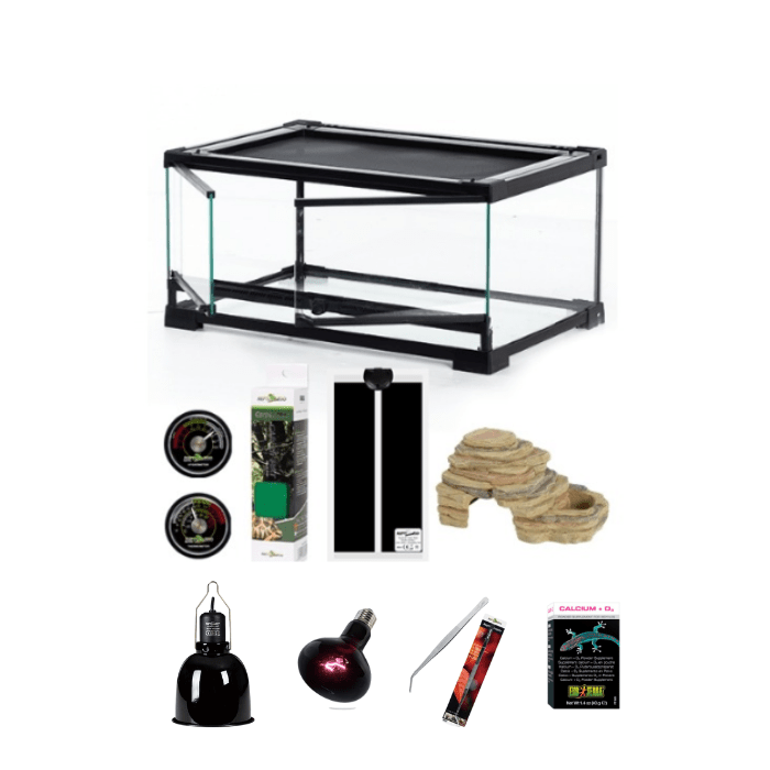 KIT HABITAT PARA GECKO LEOPARDO BEBE1