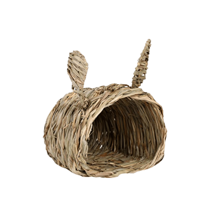 CASA GRANDE (PEQUEÑOS MAMIFEROS)1