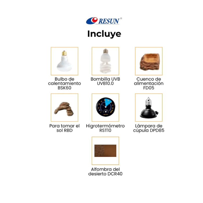 KIT TERRARIO DESERTICO RESUN MEDIUM4