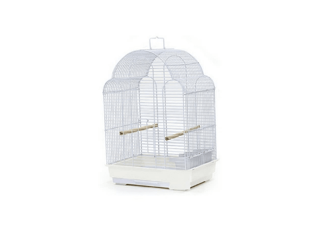 JAULA OVAL AVES PEQUEÑAS1