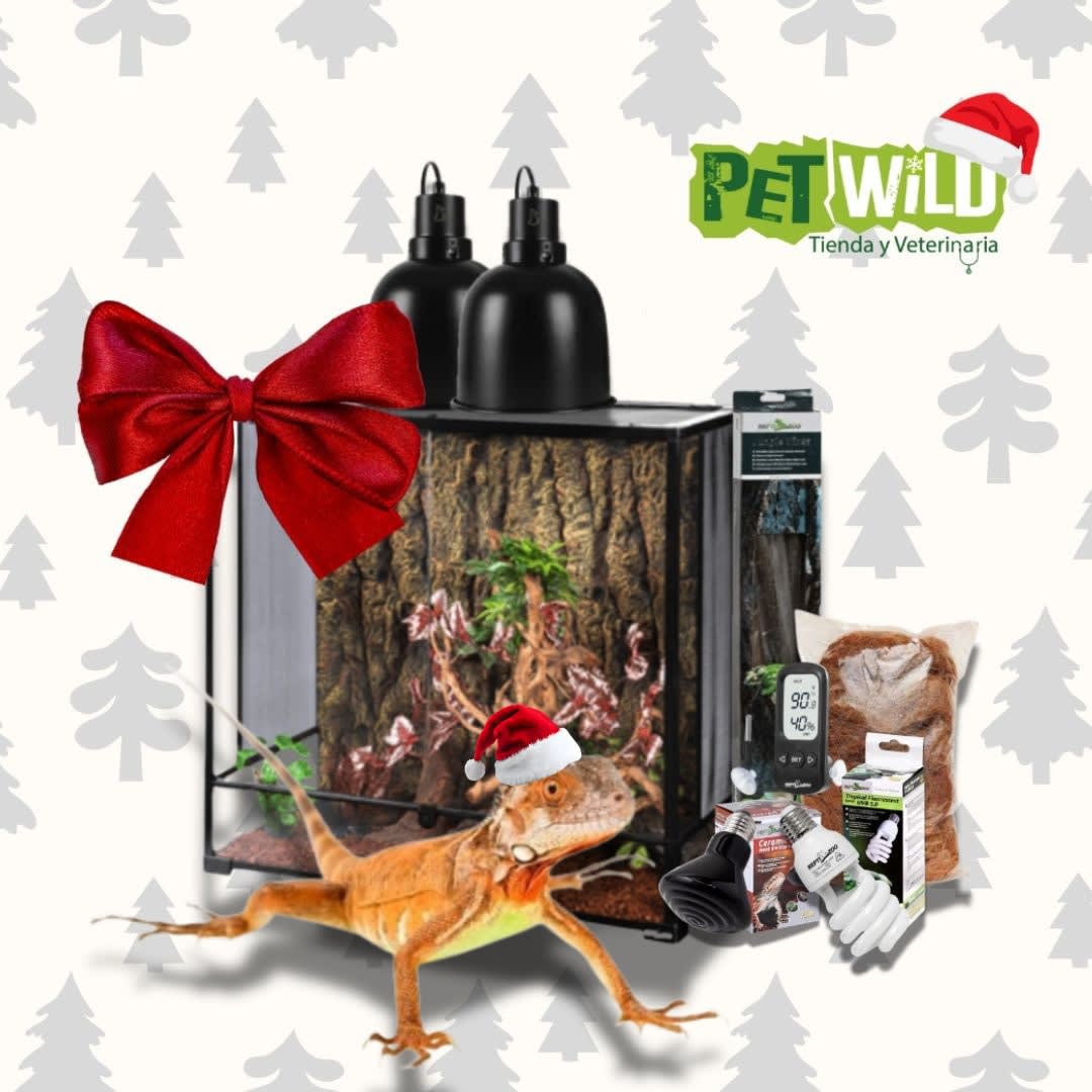 KIT NAVIDEÑO IGUANA ROJA1