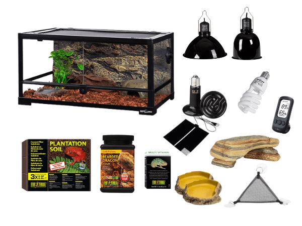 KIT DRAGON BARBUDO 60X45X32 CM1