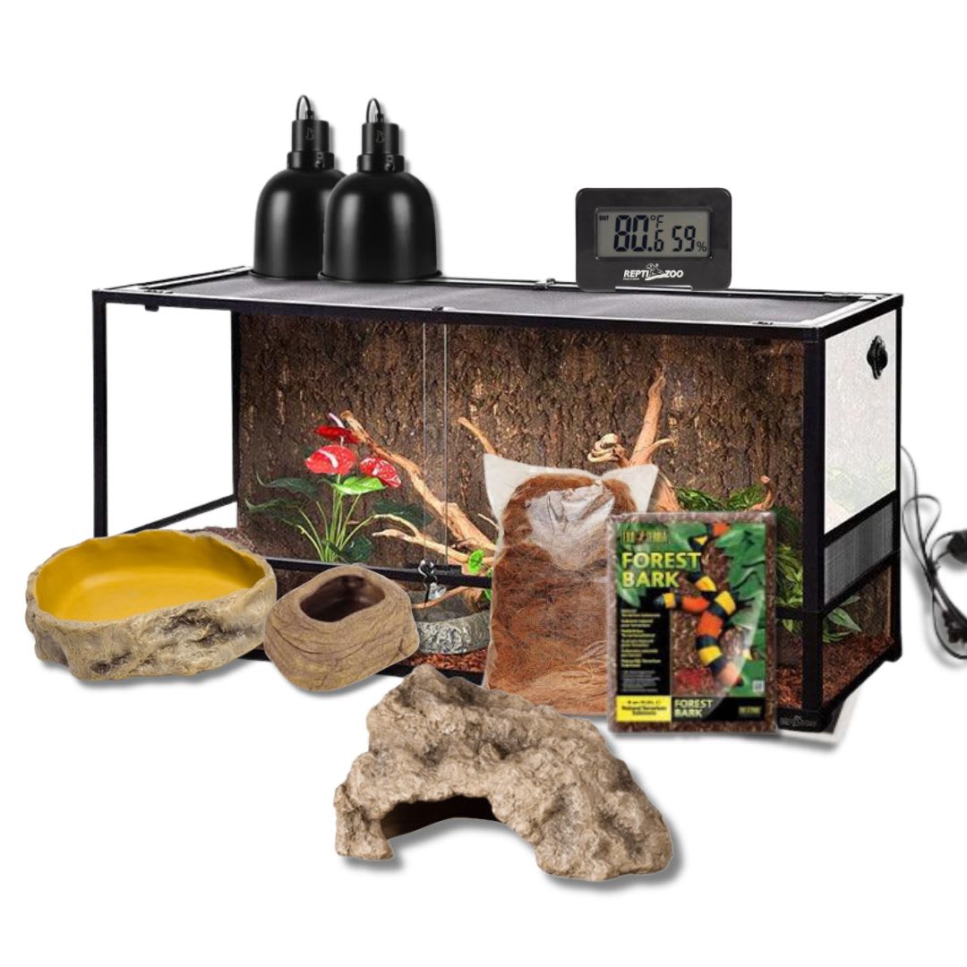 KIT PARA GECKO LEOPARDO GRANDE1