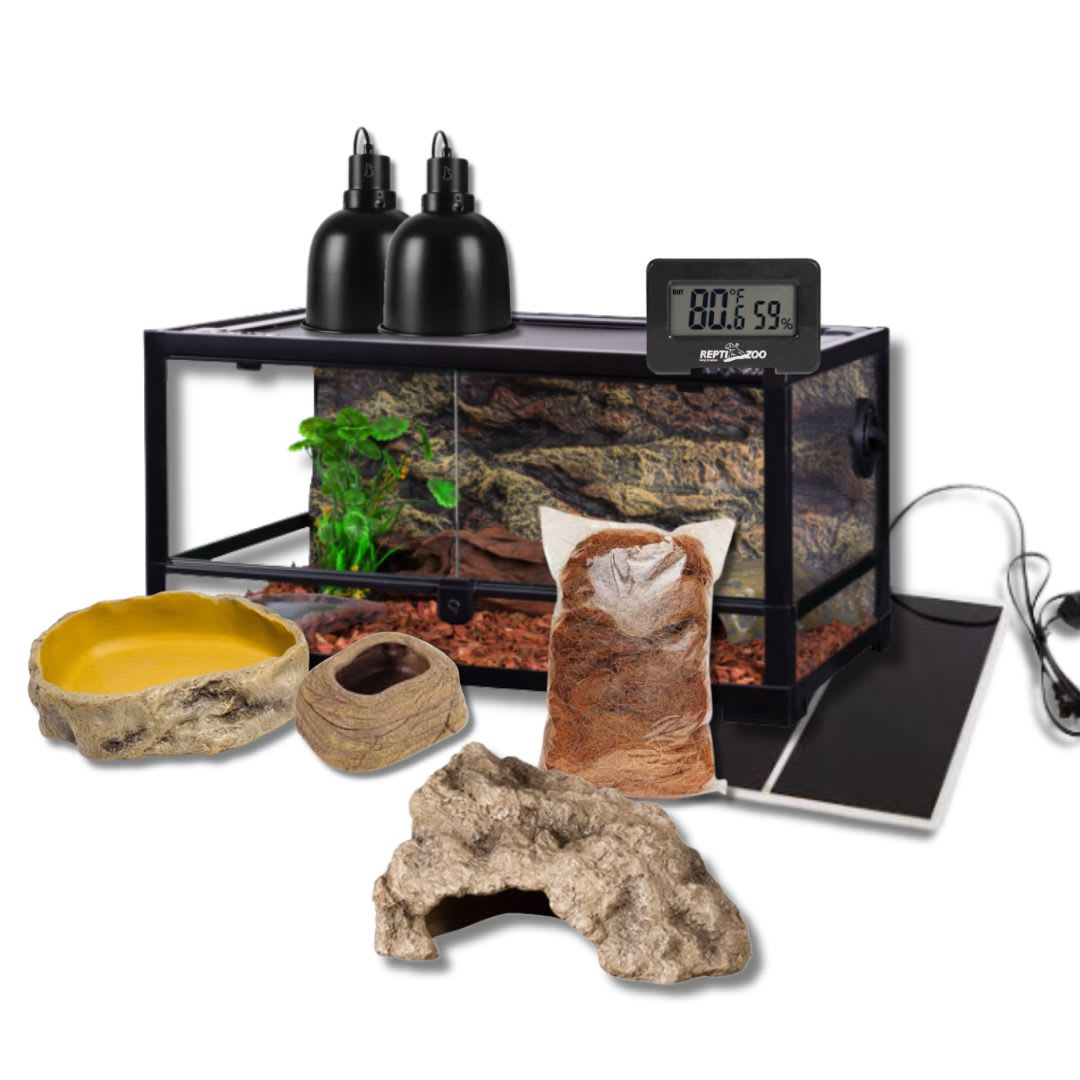 KIT GECKO LEOPARDO PEQUEÑO1