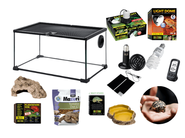 MINI HABITAT TORTUGA DE TIERRA1