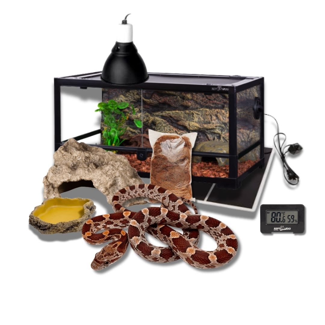 KIT SERPIENTE DEL MAIZ1