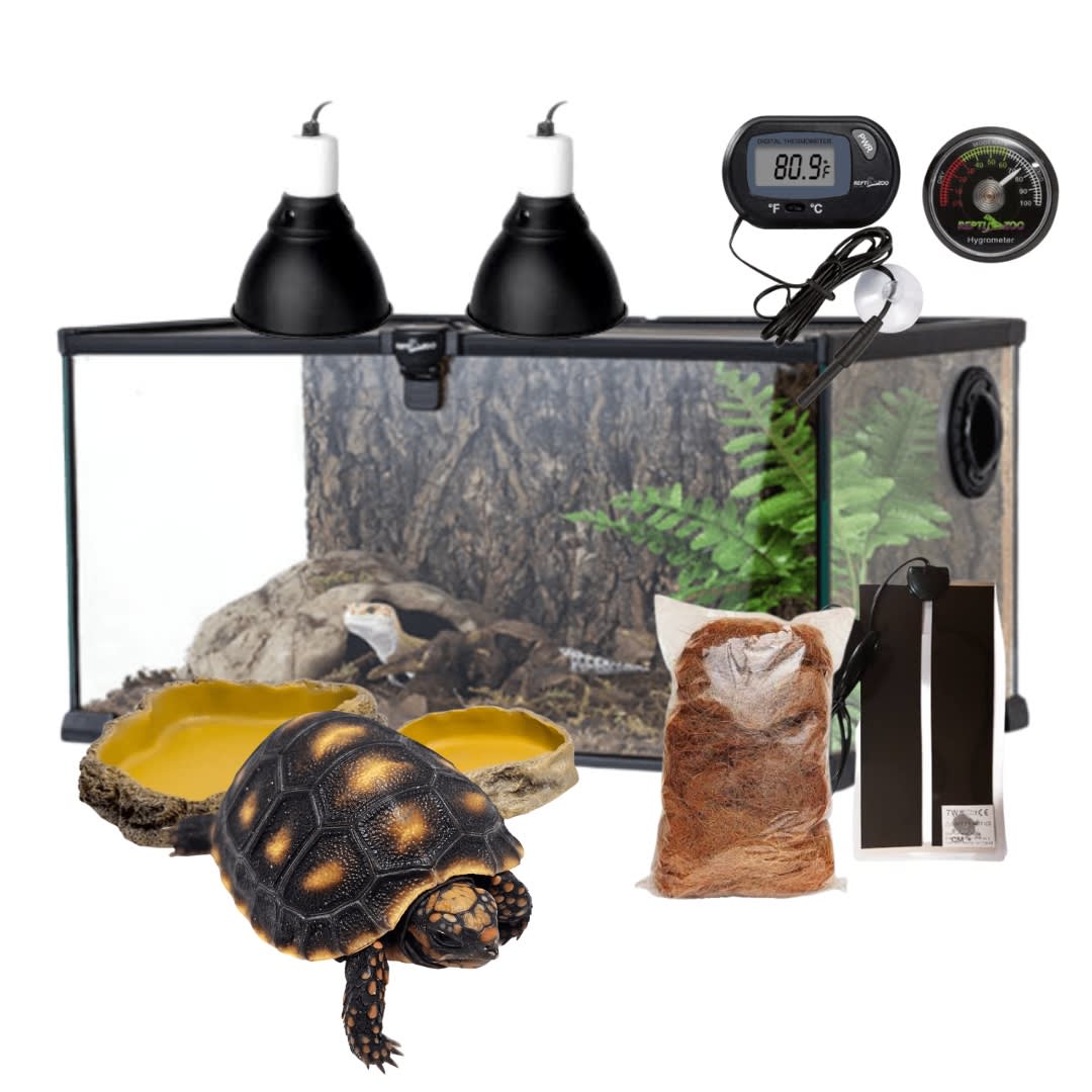 KIT TORTUGA PEQUEÑO1