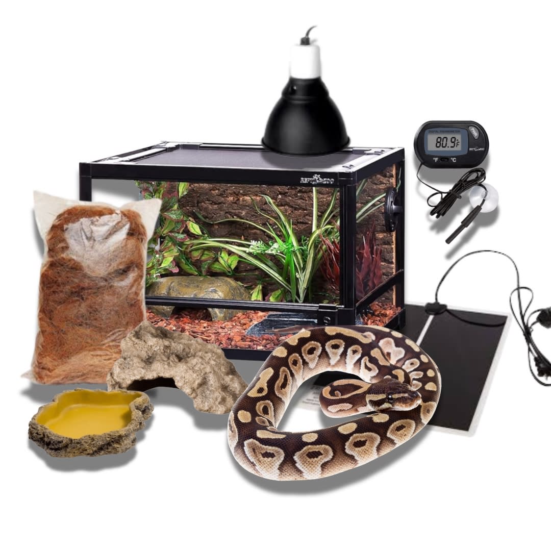 KIT PITON BOLA NOMINAL1