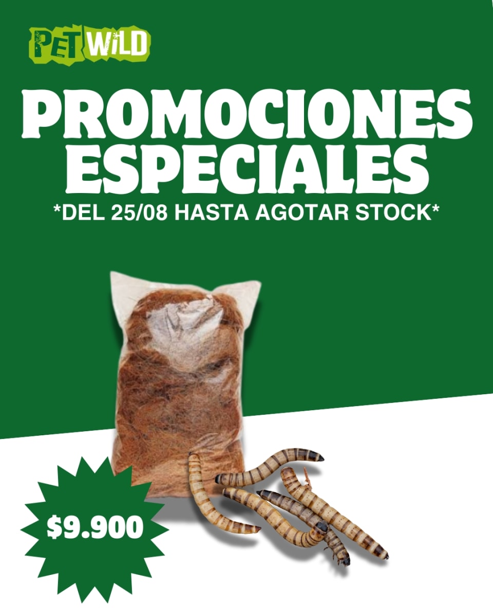 FIBRA DE COCO 3KG + 30 TENEBRIOS1