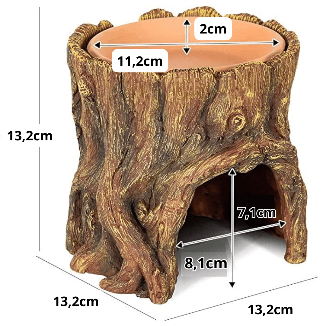 CUEVA EN FORMA DE TRONCO Y BEBEDERO DE TERRACOTA PARA REPTILES, REPTIZOO4