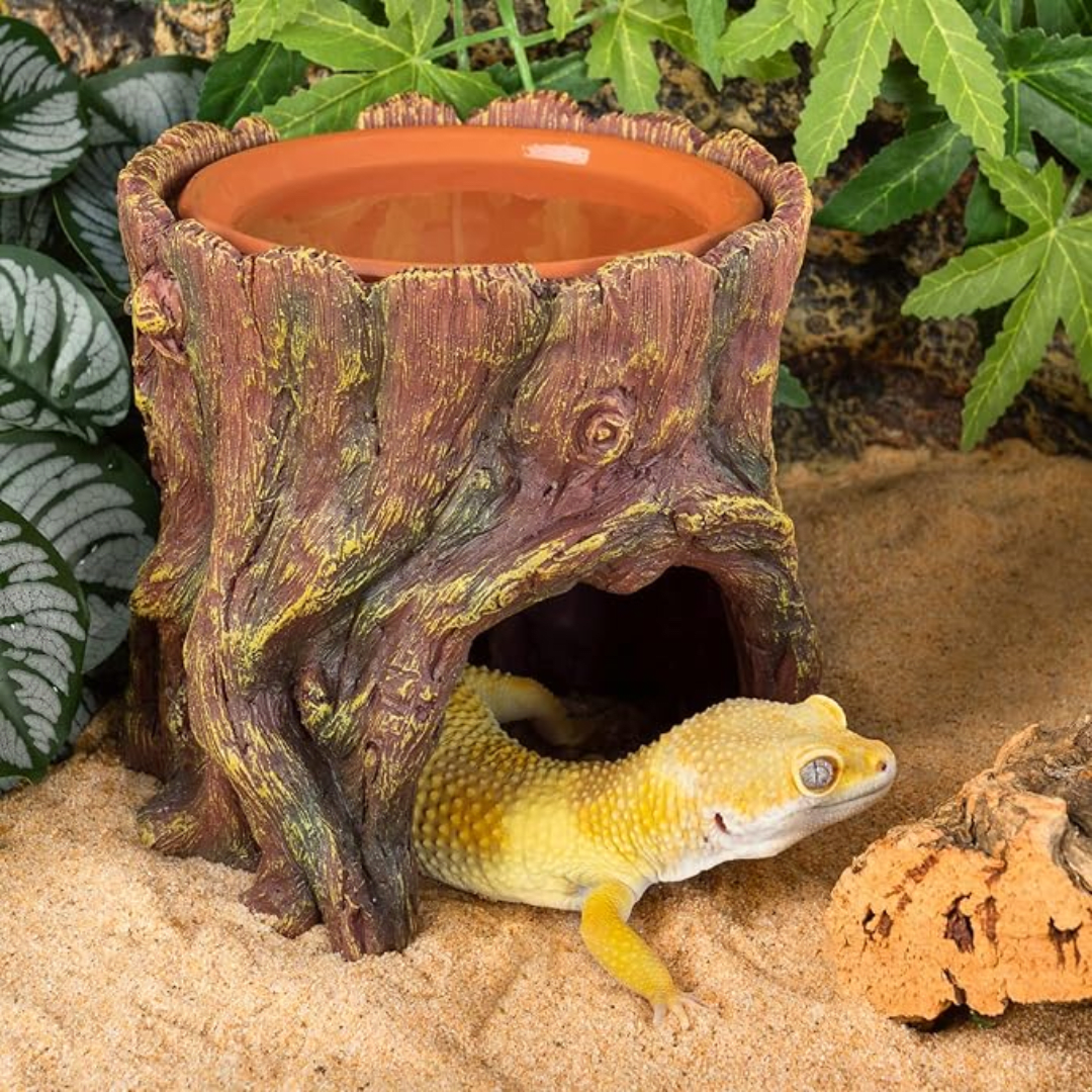 CUEVA EN FORMA DE TRONCO Y BEBEDERO DE TERRACOTA PARA REPTILES, REPTIZOO3