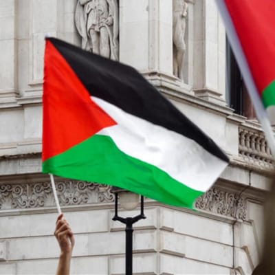 Bandera de Palestina Estampada1