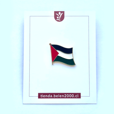 Pin Bandera Palestina1