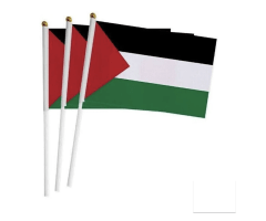 Banderín de Palestina