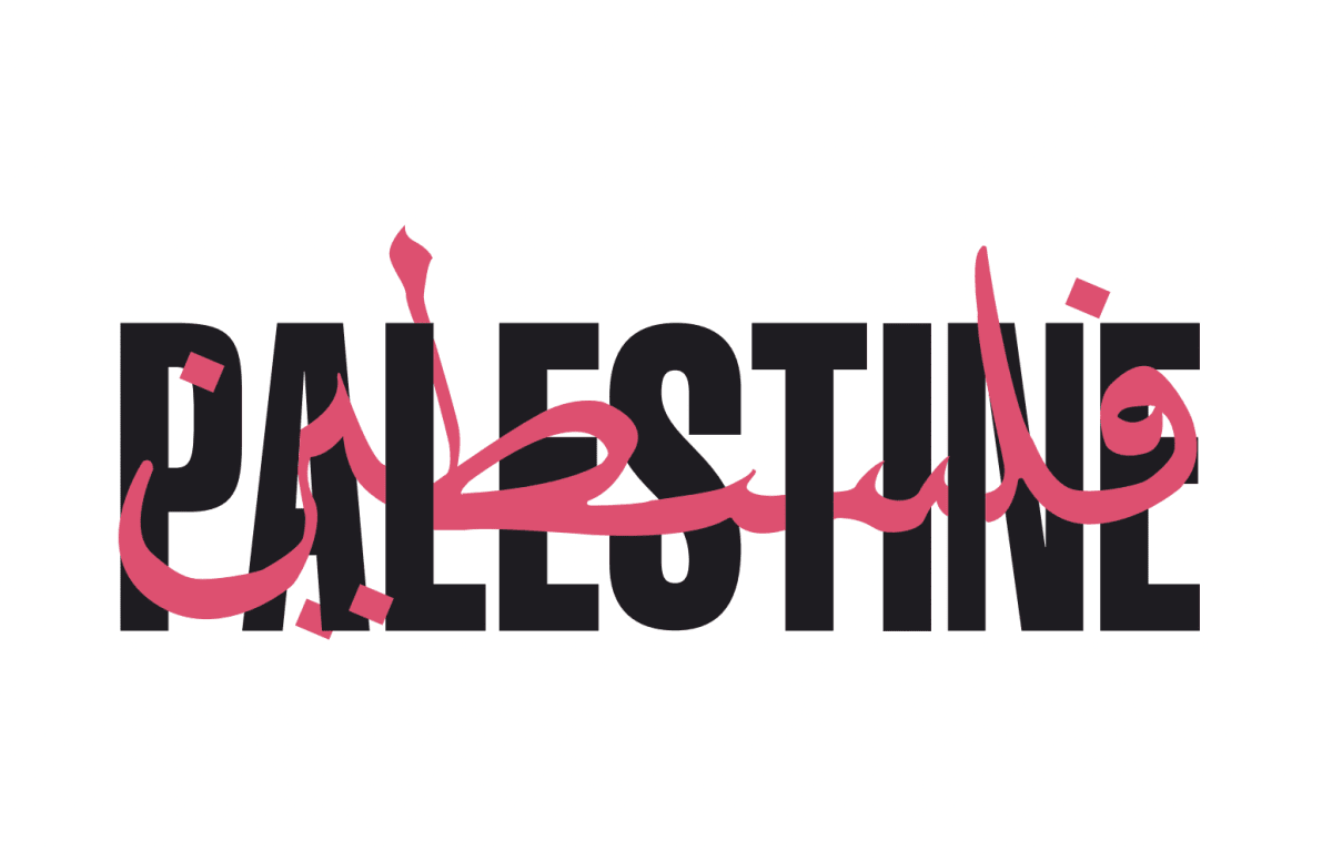Polera Palestine graffiti2