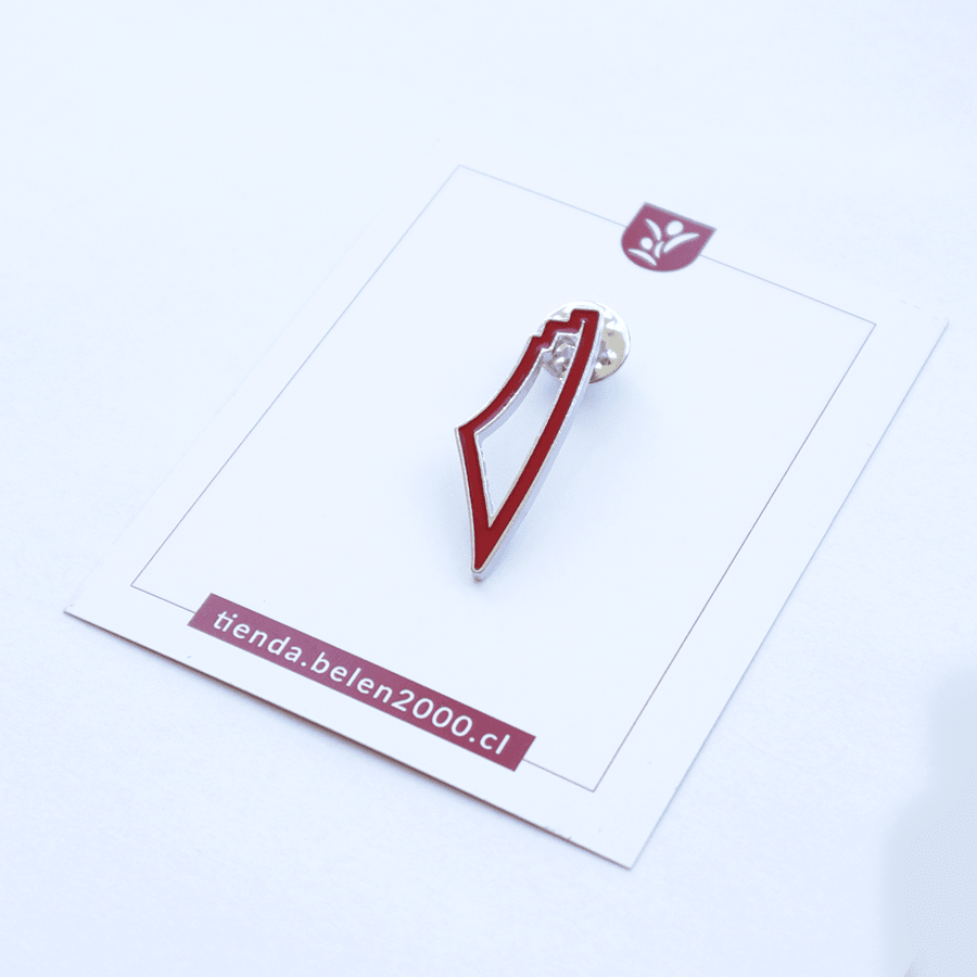 Pin mapa palestina rojo2