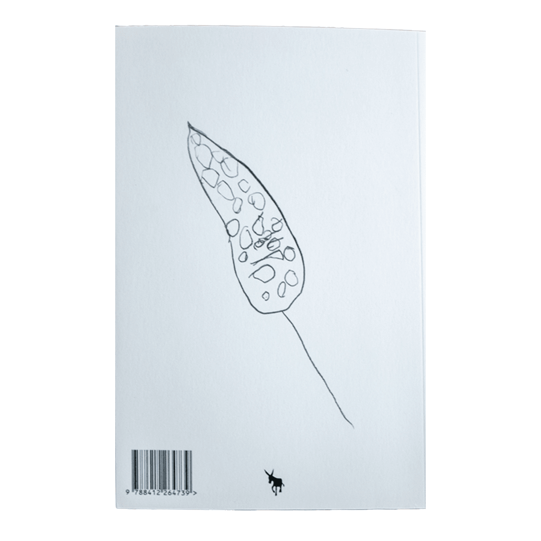 Palestina, Un cuento sobre 