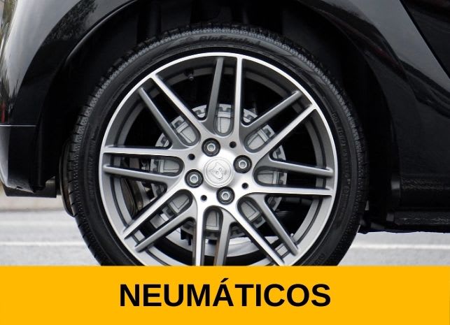 Neumáticos
