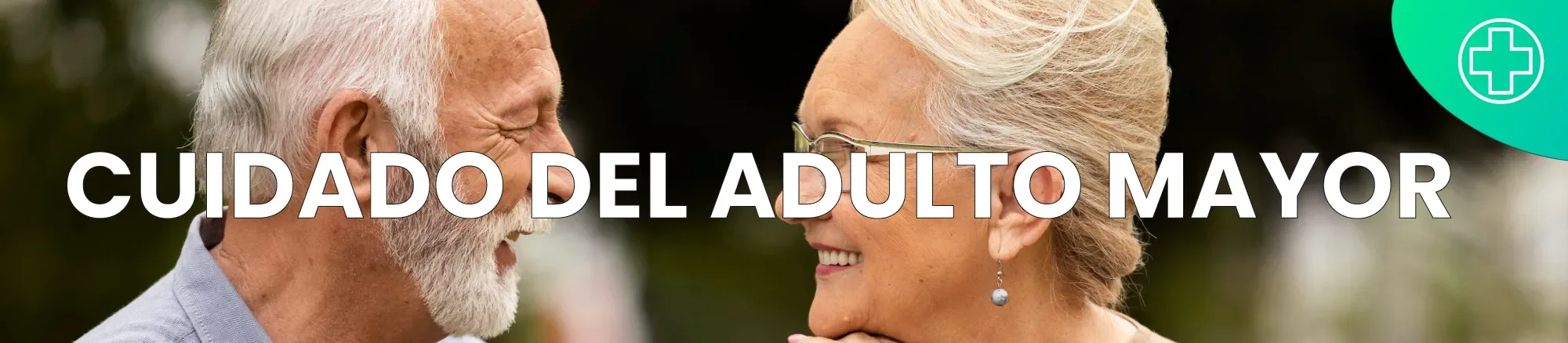 Cuidado del Adulto Mayor