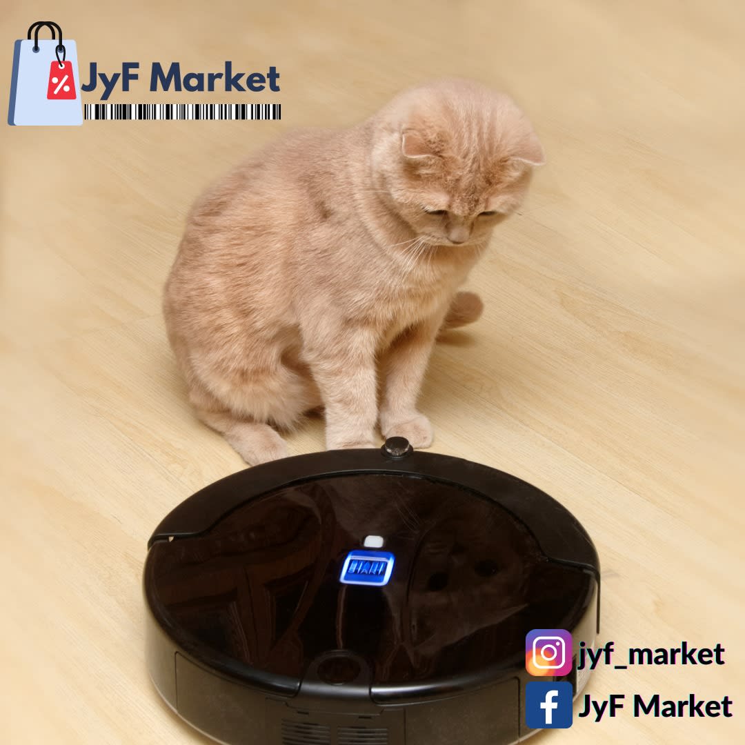 Gatos británicos viendo el trabajo de la aspiradora robot - foto de stock |  Crushpixel