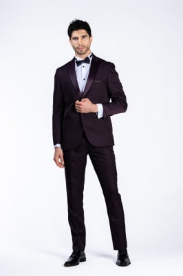 AMBO SELVINO SS23-24 WINE