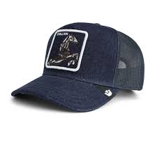 GOORIN Denim Stallion1