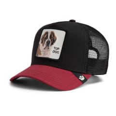 GOORIN The Top Dog