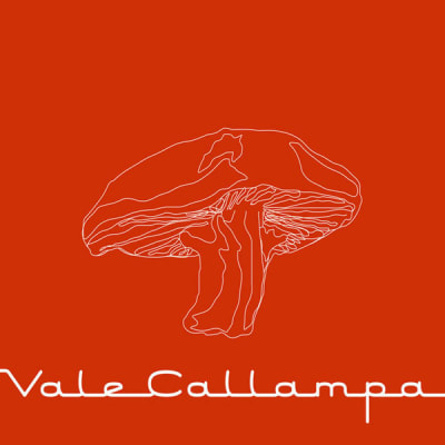 Café Tacvba Vale Callampa CD1