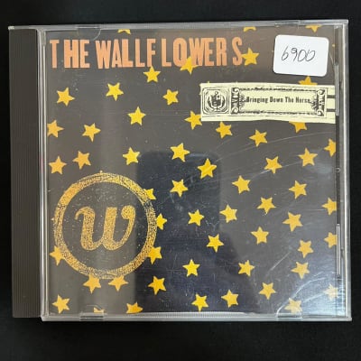 The Wallflowers Bringing down the horse (CD Escuchado)1