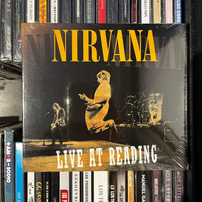 Nirvana Live At Reading1