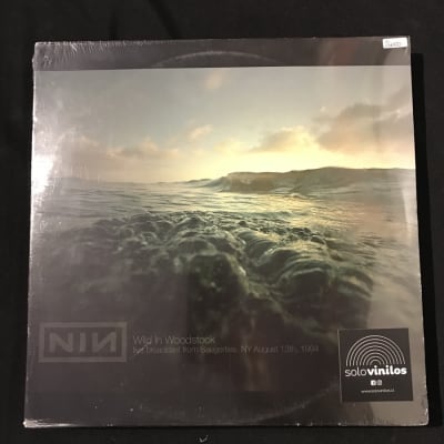 Nine Inch Nails Wild in Woodstock1