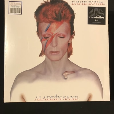 David Bowie Aladin Zane2