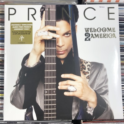 Prince Welcome 2 America1