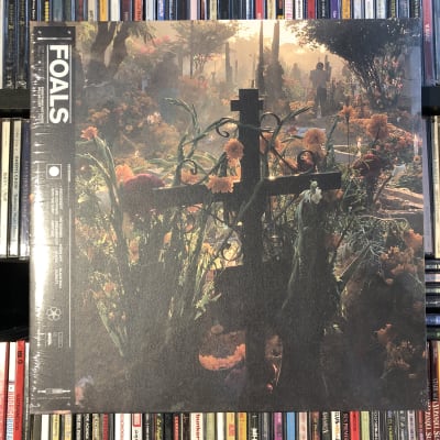 Foals Everything not saved will be lost1