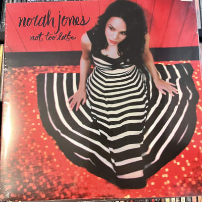 Norah Jones Not too late1