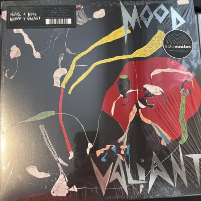 Hiatus Kaiyote Mood Valiant1