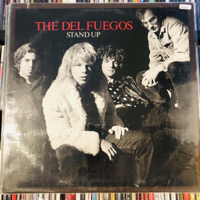 The Del Fuegos Stand Up Usado1