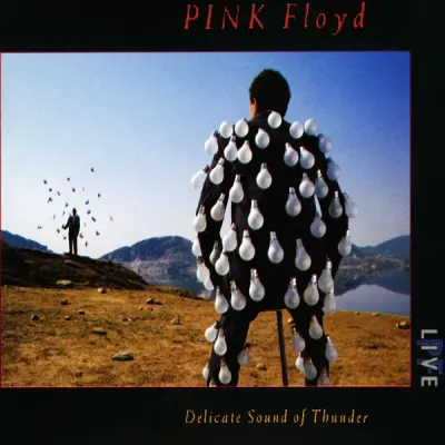 Pink Floyd - Delicate Sound Of Thunder CD