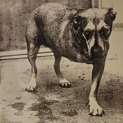 Alice In Chains - Alice In Chains1