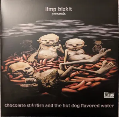 Limp Bizkit - Chocolate Starfish And The Hot Dog Flavored Water1