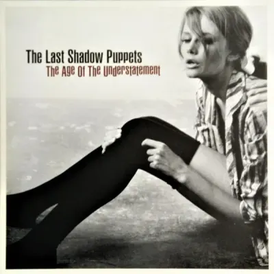 The Last Shadow Puppets - The Age Of The Understatement1