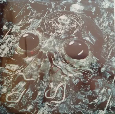 King Gizzard And The Lizard Wizard - Alien Metal1