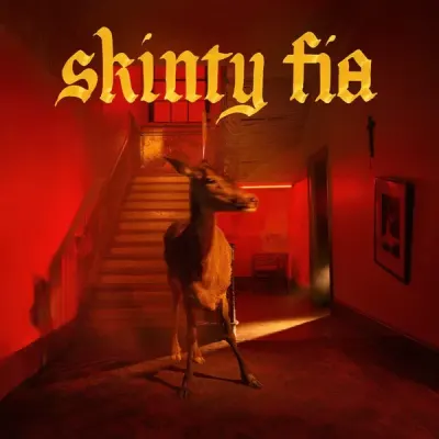 Fontaines D.C. - Skinty Fia - CD Nuevo