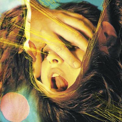 Flaming Lips - Embryonic CD3