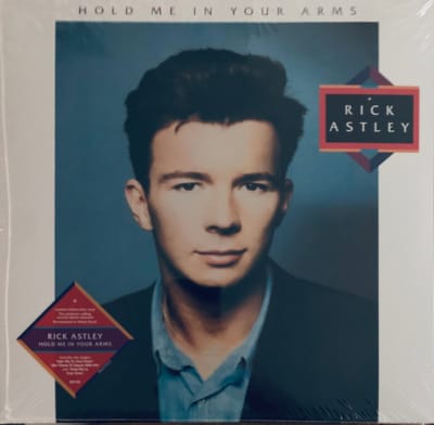 Rick Astley - Hold Me In Your Arms3