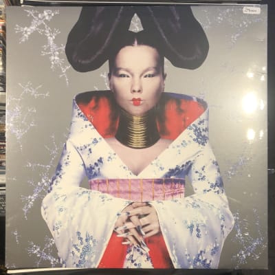 Bjork Homogenic