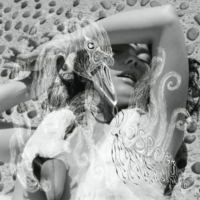 Björk - Vespertine CD1