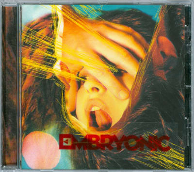 Flaming Lips - Embryonic1