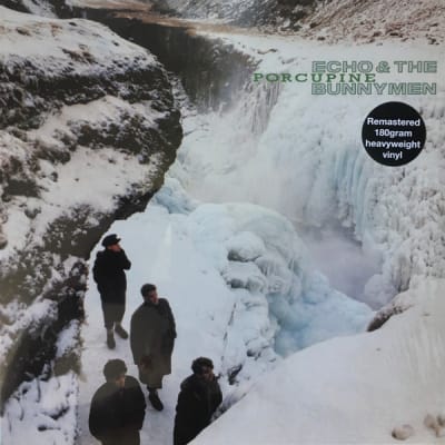 Echo & The Bunnymen - Porcupine1
